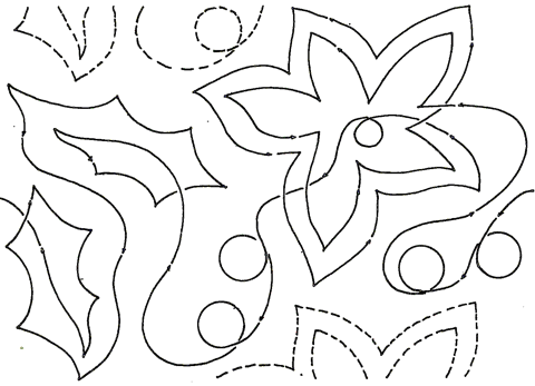 Echo Holly Poinsettia