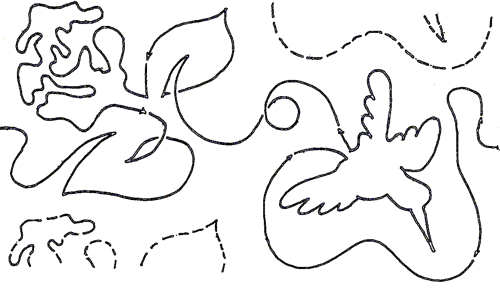 Hummingbirds & Flowers