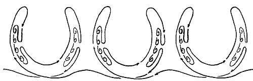 Horse Shoe