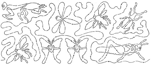Pocket full of Bugs