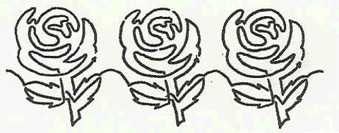 Yellow Rose of Texas